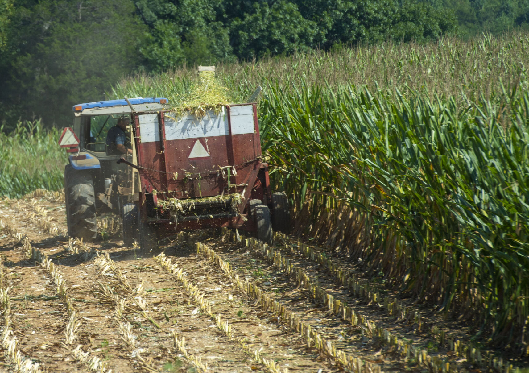 End-Of-Summer Crops